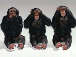 Three Wise Monkeys